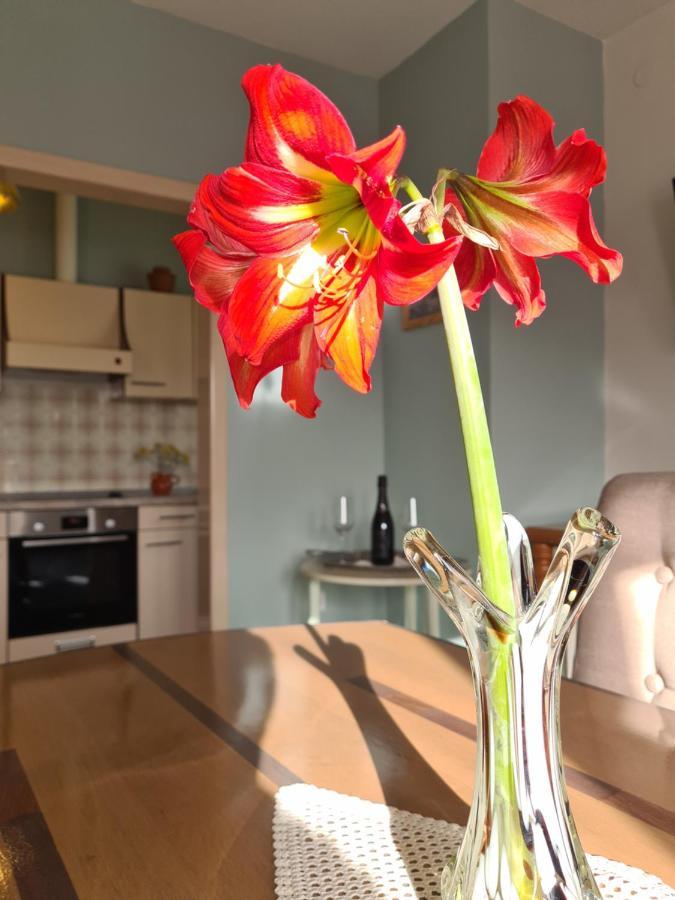 טרוגיר Apartments Bresan מראה חיצוני תמונה